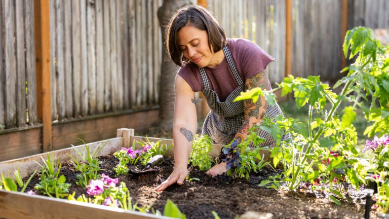 Fertilize Your Garden Before Fall With A Leftover Fruit Scrap That Isn’t Banana