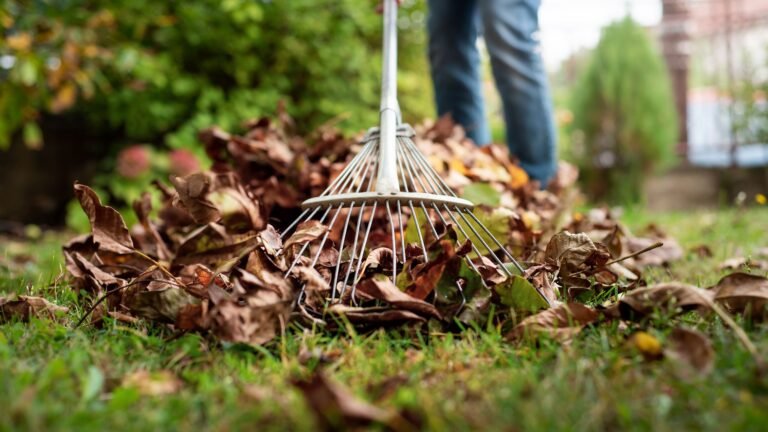 This Amazon Adjustable Leaf Rake Saves Storage Space