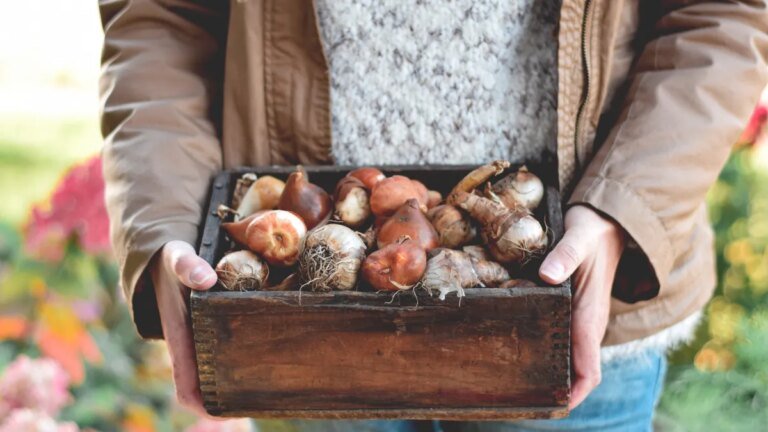 10 “Must Do” Home Projects for September