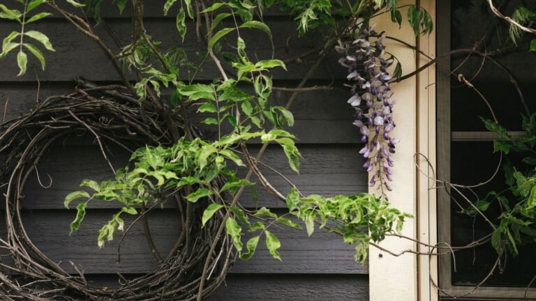 David Domoney is using his prunings to make a natural wreath