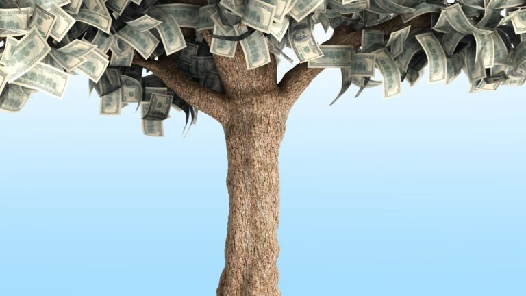 Teach Your College Teen Financial Prep in 4 Steps