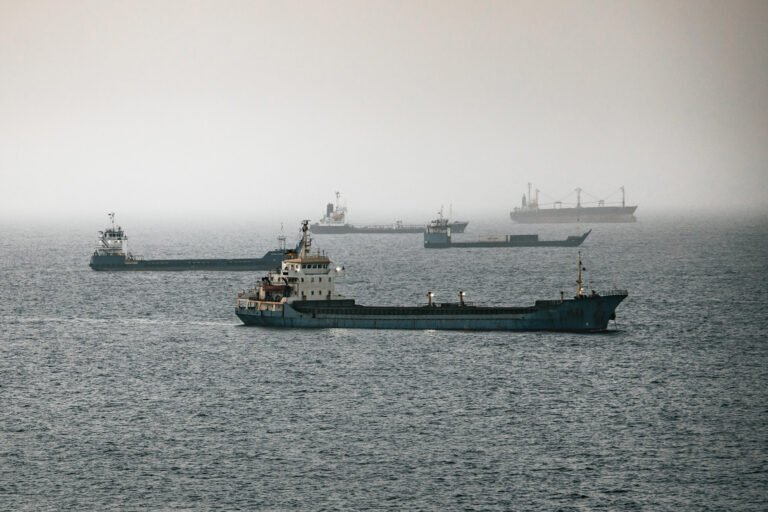 Proposed Hormuz Passage Deal Not Feasible for Shipping Industry, Sources Say