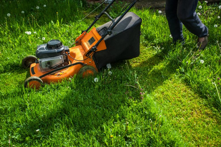 The Best and Worst Times of Day to Mow Your Lawn, With Expert Tips