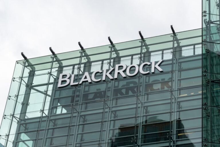 BlackRock explores sale of $671m TCP private credit loan portfolio