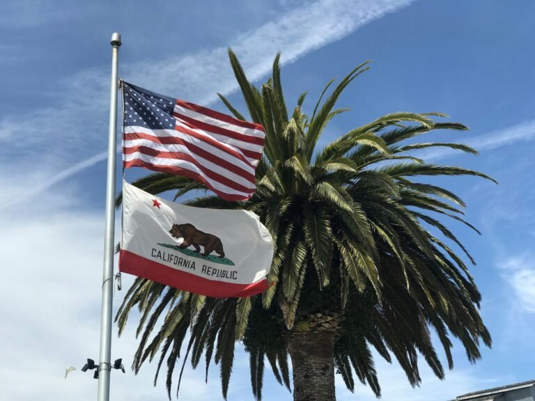 The California Billionaire Tax Act