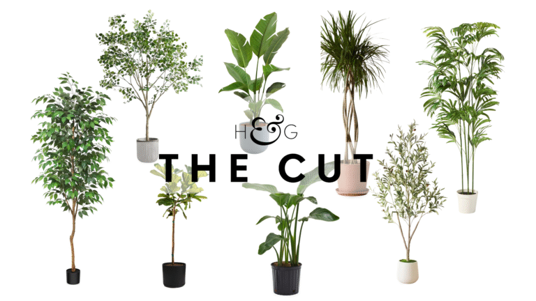 16 Best Large Houseplants To Add Height And Greenery