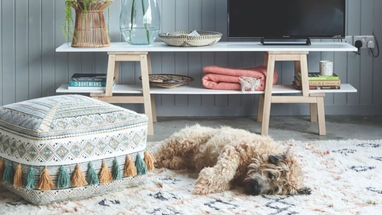 Morris & Co is selling the most stylish pet beds