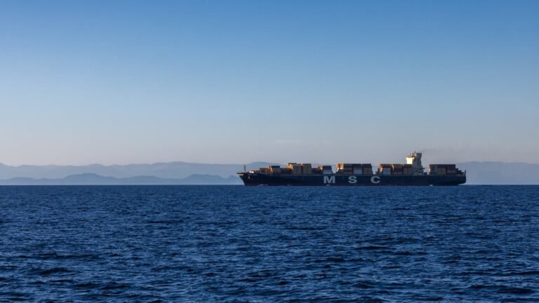 Shipping stocks hit decade highs as Hormuz disruption grinds on