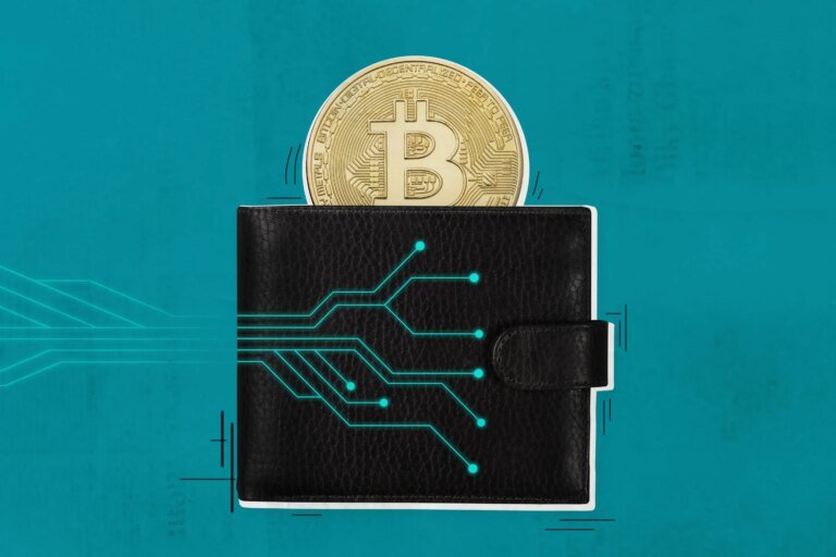 9 Best Crypto Wallets of September 2026