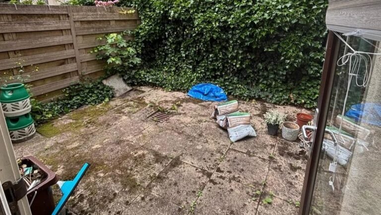 He Pulled Up the Paved Patio and Completely Rebuilt His Small Courtyard