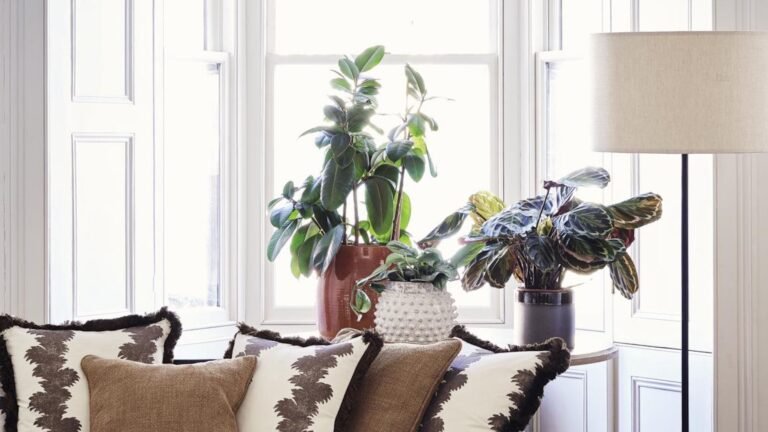 This Amazon Wooden Grow Light is Stylish and Functional