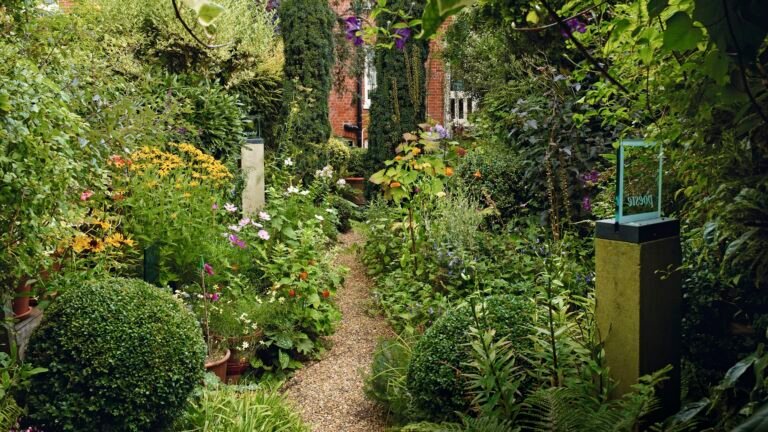 Pruning: The Complete Guide to When, How, and What to Prune