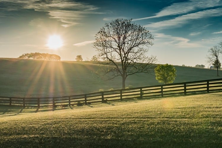 I Never Met Wendell Berry | American Enterprise Institute