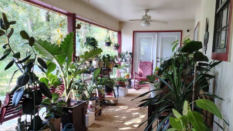 She Spent Summer Filling the Porch With Houseplants. Now They All Have to Come Inside