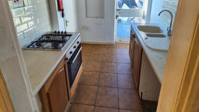 This Narrow Galley Kitchen Didn’t Gain an Inch, but It Feels Much Bigger