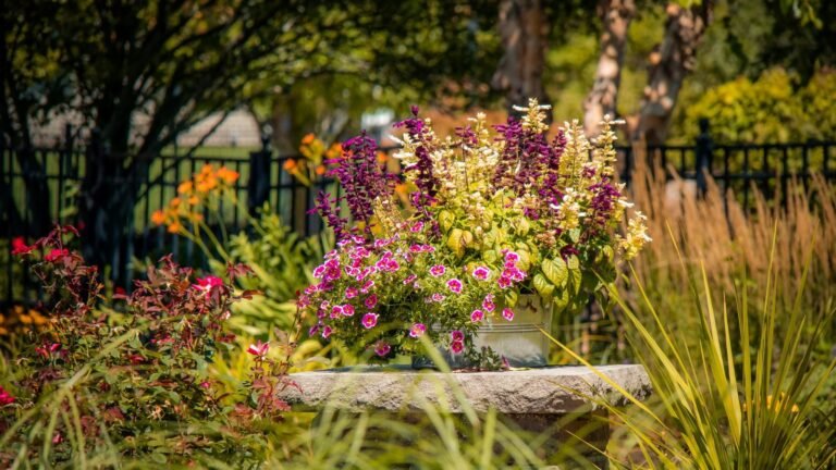 Why August is the Best Time to Clear Out Dead Summer Annuals