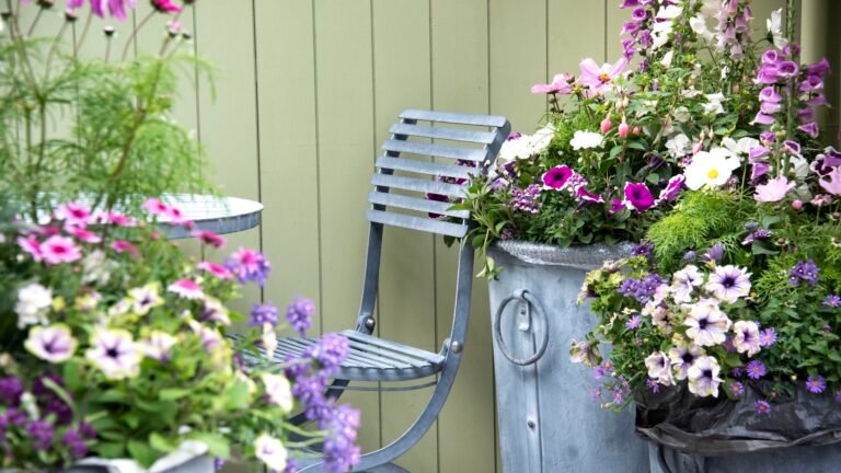 7 Plants for Pots in September for Winter Color and Interest