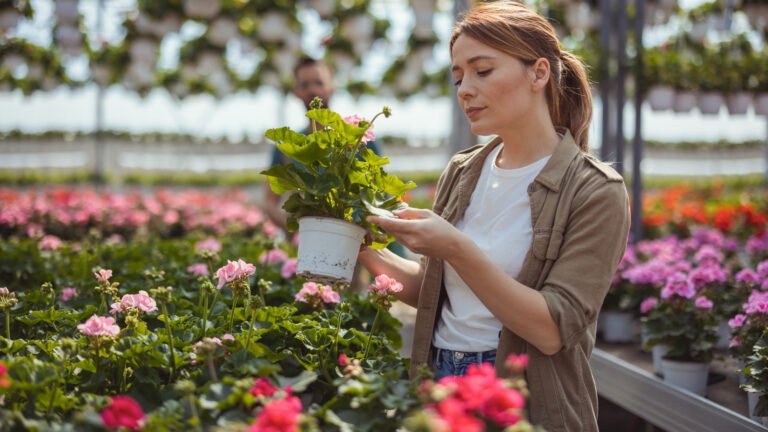 Trade In Your Mums: These Gorgeous, Fragrant Flowers Bloom Until The First Frost