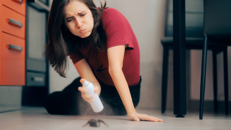 Funnel Spider Webs: How To Identify One In Your Home Or Yard