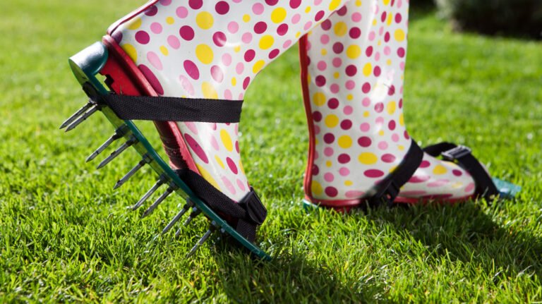 Aerate, Dethatch Or Overseed: Which Comes First For The Best Lawn?