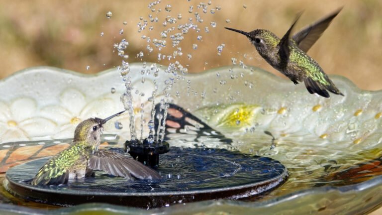 Goodbye Traditional Birdbaths — The Amazon Find That Looks Like A Flower