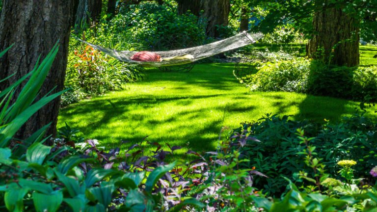 Skip Hostas: The Award-Winning Flowering Plant That Loves Shady Gardens